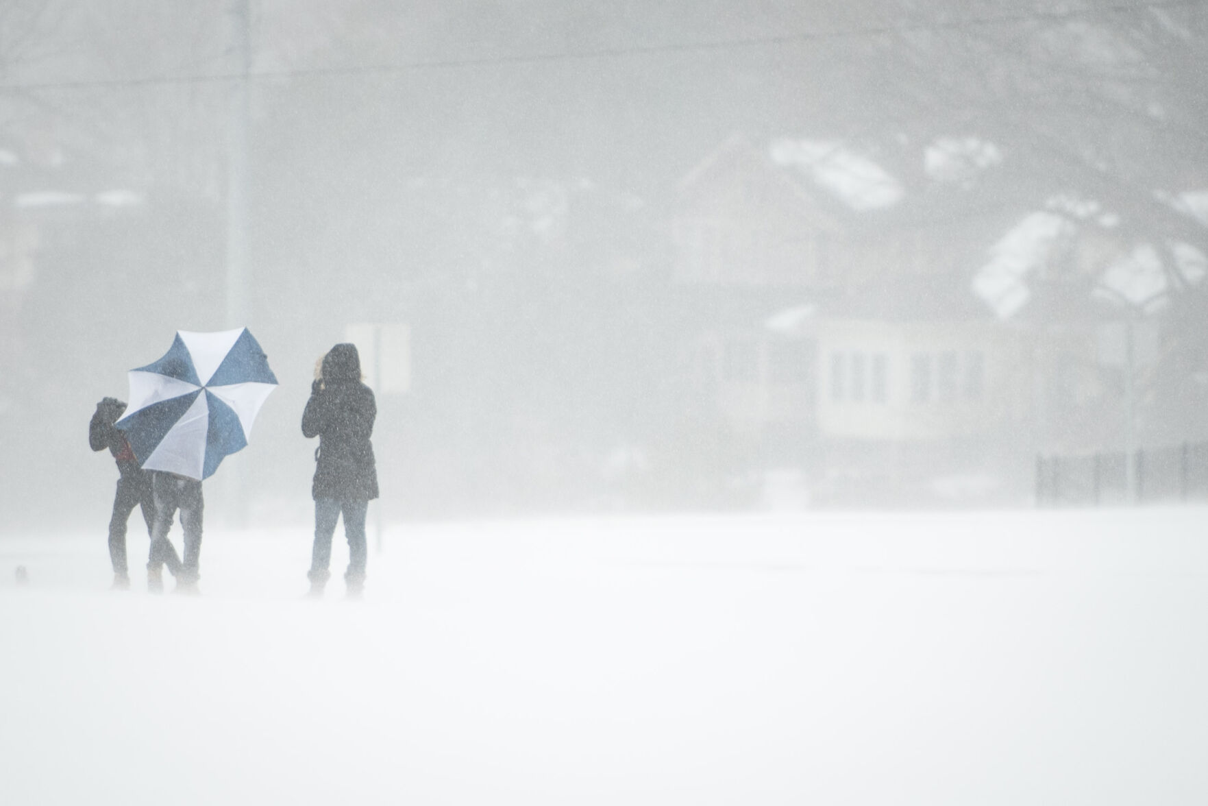 Winter Storm